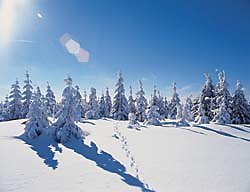 Winter im Bayerischen Wald in Bayern