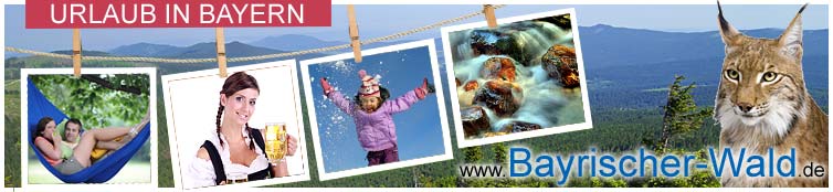 Bayerischer Wald 2013 