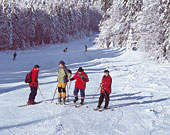Skifahren im Bayerischen Wald - Weihnachten 2024