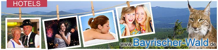 Hotel Urlaub im Bayerischen Wald - Wellnesshotels, Sporthotels, Wanderhotels usw. Hotels im Bayerischen Wald.