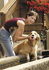 Bayerischer Wald Urlaub mit Hund am Bauernhof