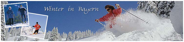 Winter im Bayerischen Wald