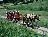 Bauernhof Urlaub im Bayerischen Wald - Kutschfahrt