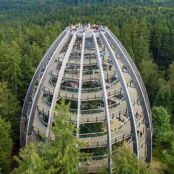 Ausflugsziel Baumwipfelpfad Bayerischer Wald