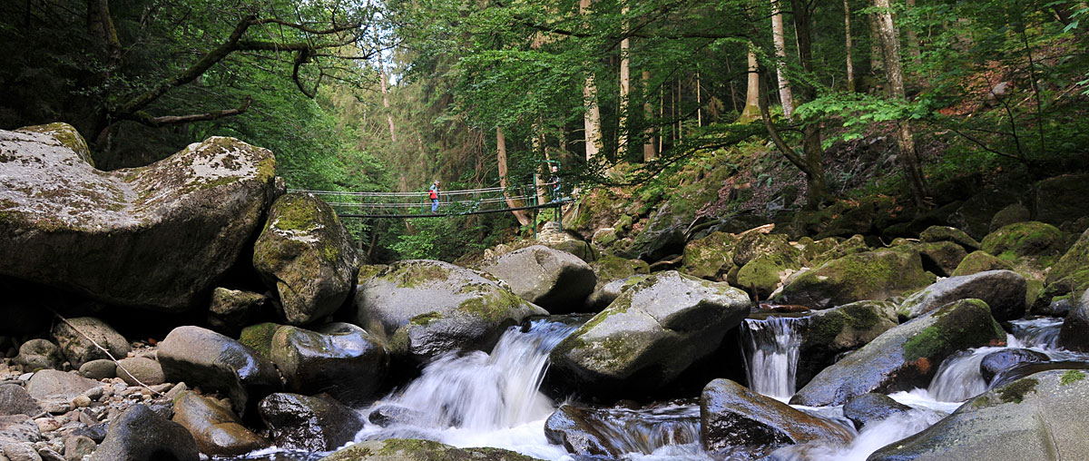 Bayerischer Wald Ferienwohnung in der Natur
