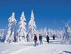 Bayerischer Wald