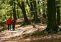 Wanderwege in Zwiesel