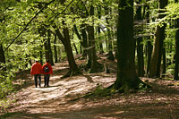 Ruhige Wanderwege durch den Bayerischen Wald