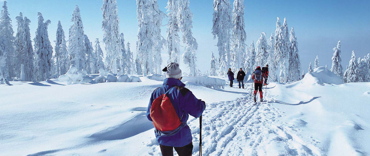 Reiturlaub im Dreiländereck Bayerischer Wald