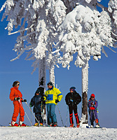 Wintersport im Sonnenwald
