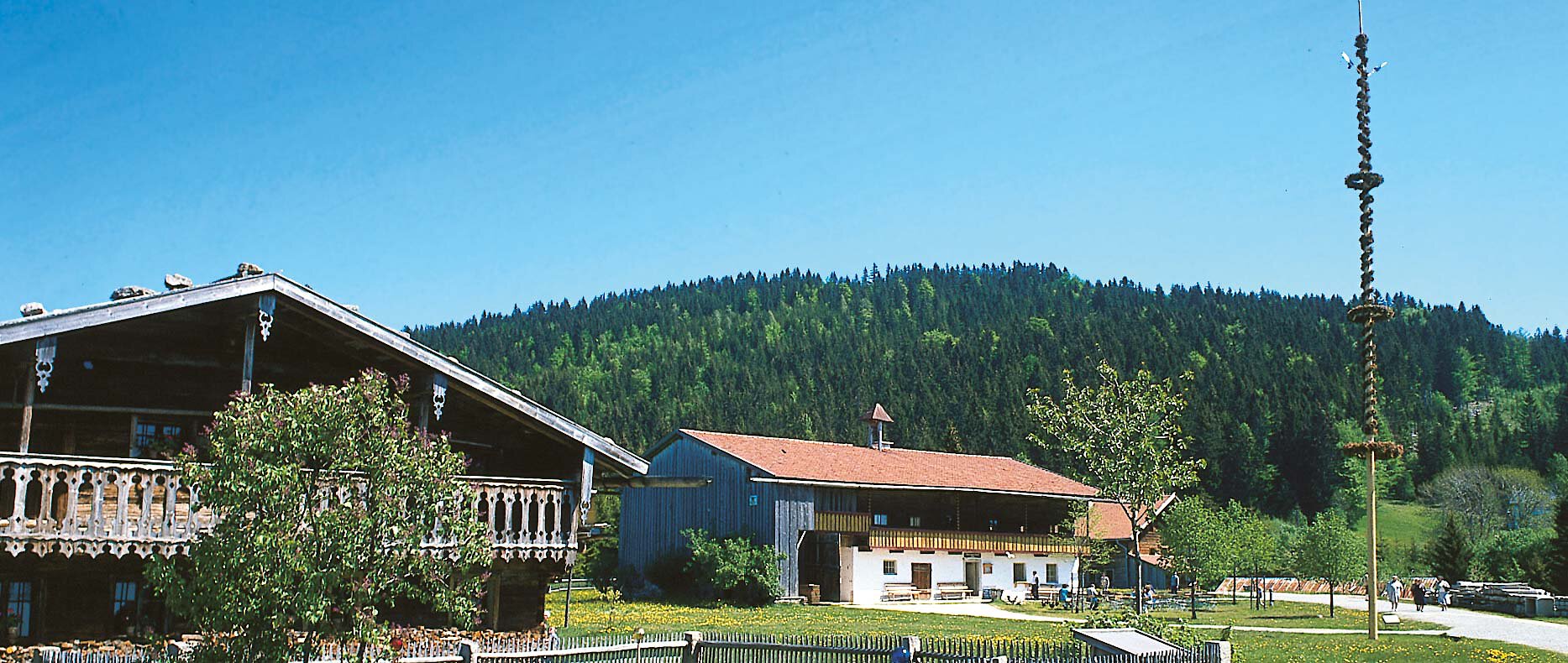 Bayerischer Wald Maibaum