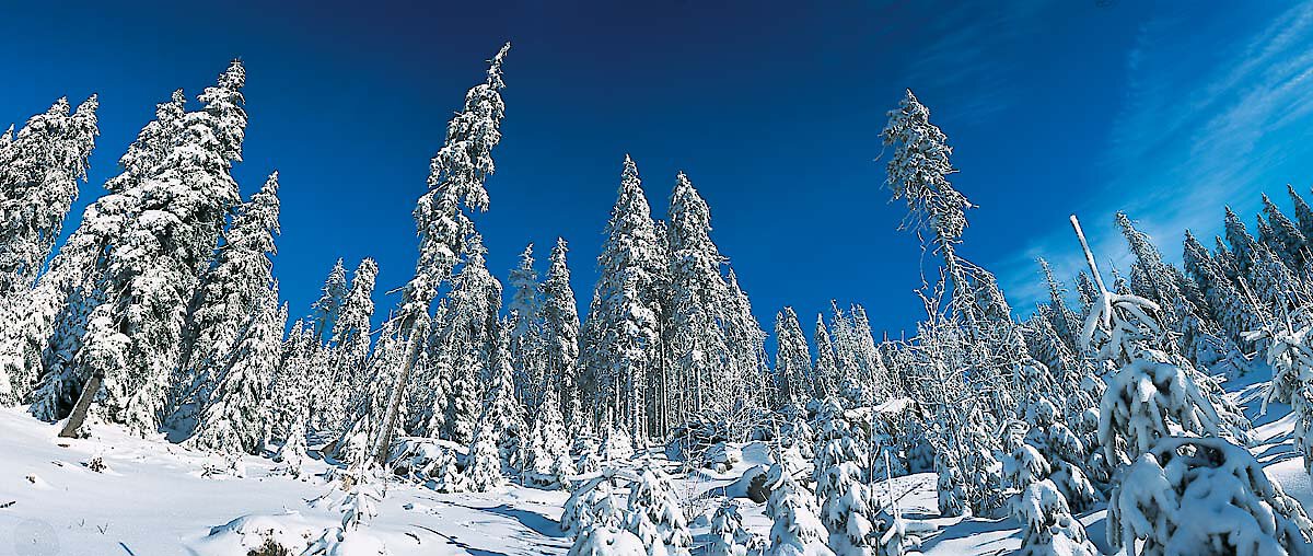 Winterwanderung durch den Bayerischen Wald